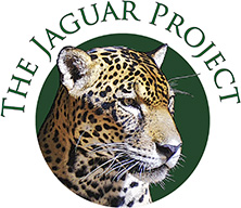 Jaguar Access Gateway Logo