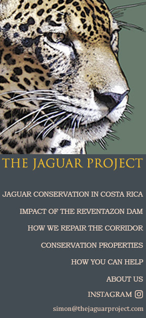 Jaguar Conservation in Costa Rica Reventazon Turrialba Barbilla Destierro Corridor Conservation Properties The Jaguar Project