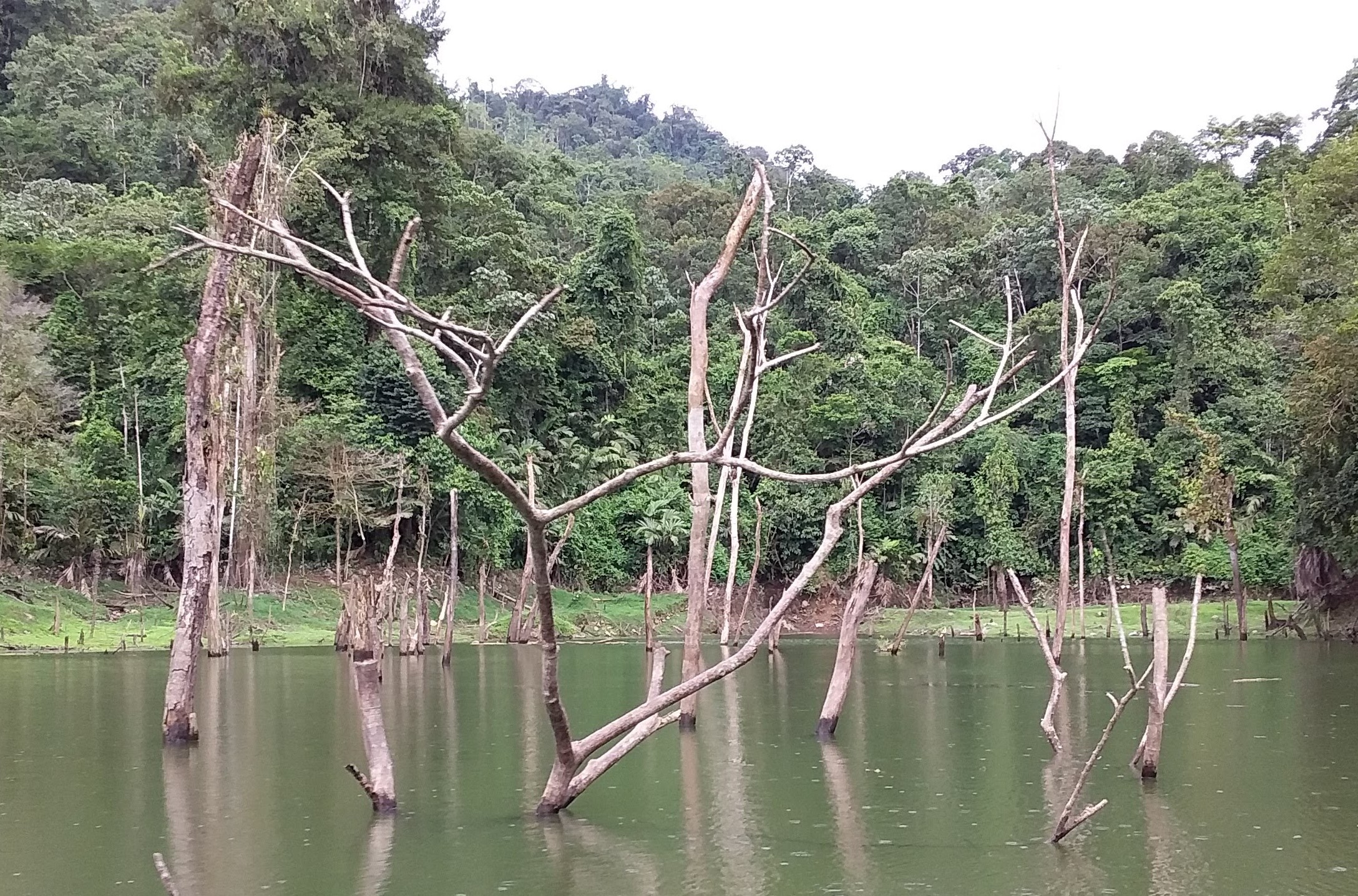 This fence around the Reventazon River barricades wildlife from accessing the Reventazon River.