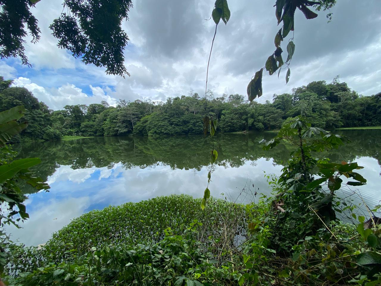 This fence around the Reventazon River barricades wildlife from accessing the Reventazon River.