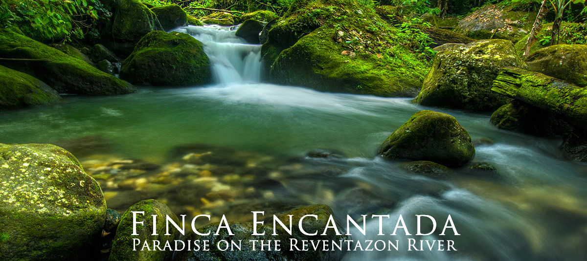 Finca Encantada ~ Paradise on the Reventazon River ~ Beautiful Retreat Property for Sale in Turrialba