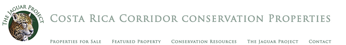Costa Rica Jaguar Corridor Conservation Properties