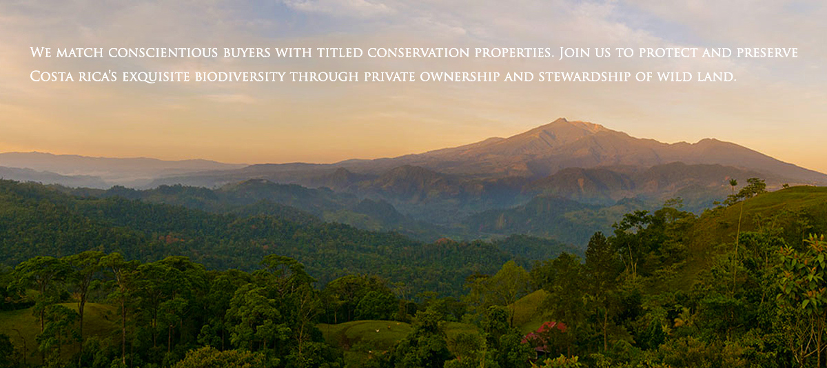 Costa Rica Jaguar Conservation Properties and Real Estate for Sale in Turrialba, Siquirres, Pacuare, and Reventazon.